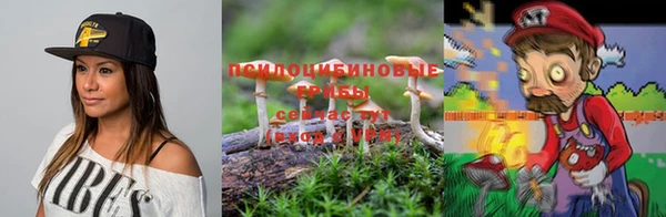 круглые Заводоуковск