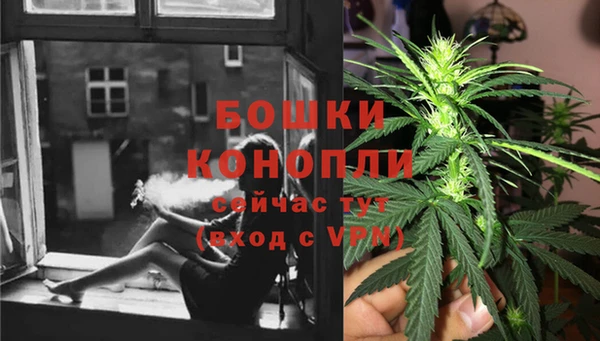 стаф Заволжск