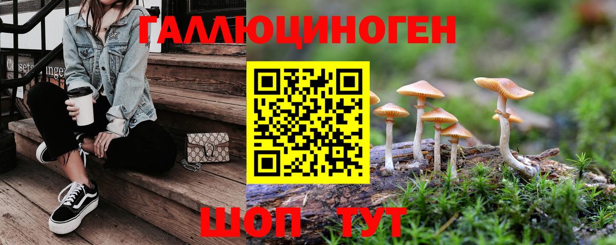 Псилоцибиновые грибы Psilocybine cubensis Избербаш